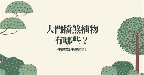 門口擋煞|別讓煞氣沖進家宅！大門擋煞植物有哪些？ 